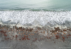 Beach at the coastline in Melrakkaslétta. Aerial photo captured with a camera drone.
