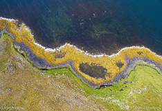 Coastline in Melrakkaslétta. Aerial photo captured with a camera drone.