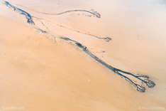 Bay/fjord Kaldalon in the Westfjords of Iceland. Aerial photo captured by drone.