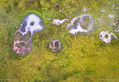 Lakes in central Iceland. Aerial photo captured with a camera drone by Paul Oostveen.