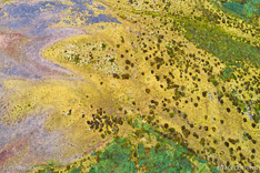 Land near the coast at the Westfjords of Iceland. Aerial photo captured by drone.