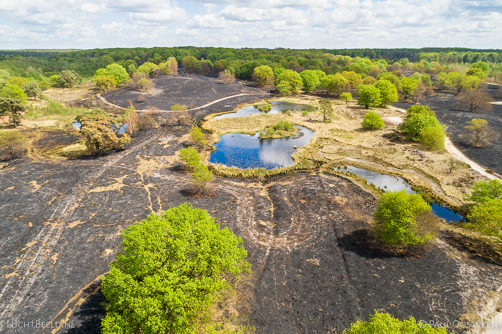 Verbrand heidegebied rond de Rolvennen in de Meinweg na de grote brand van april 2020 - luchtfoto gemaakt met een drone.