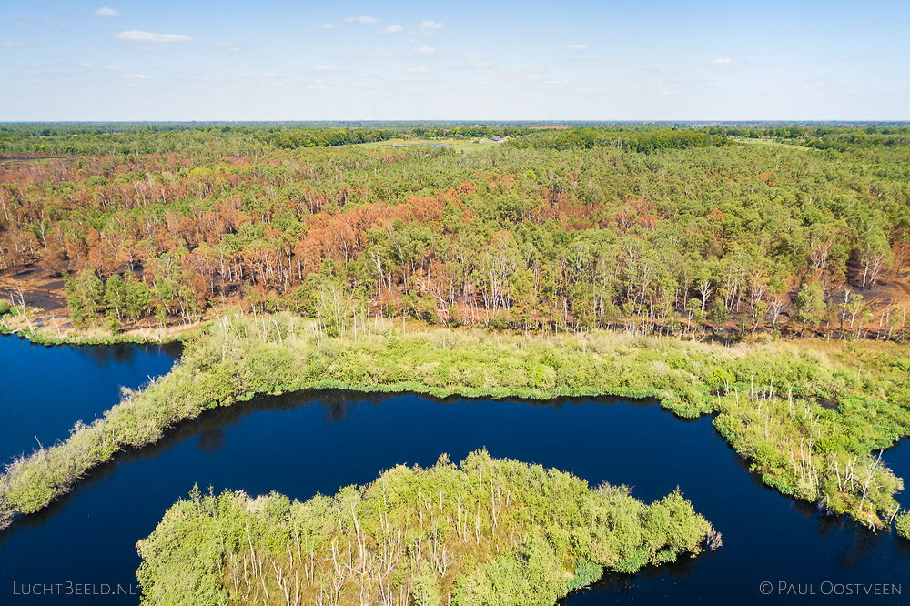 Bos in de Deurnese Peel na de grote brand van april 2020 - luchtfoto gemaakt met een drone.