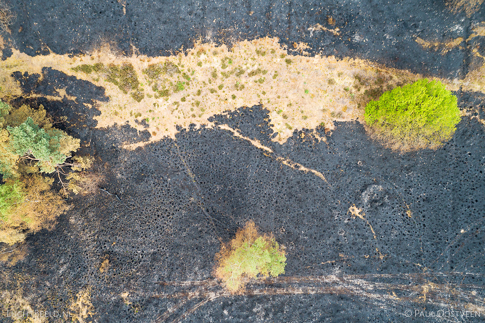 Verbrand heidegebied in de Meinweg na de grote brand van april 2020 - luchtfoto gemaakt met een drone.