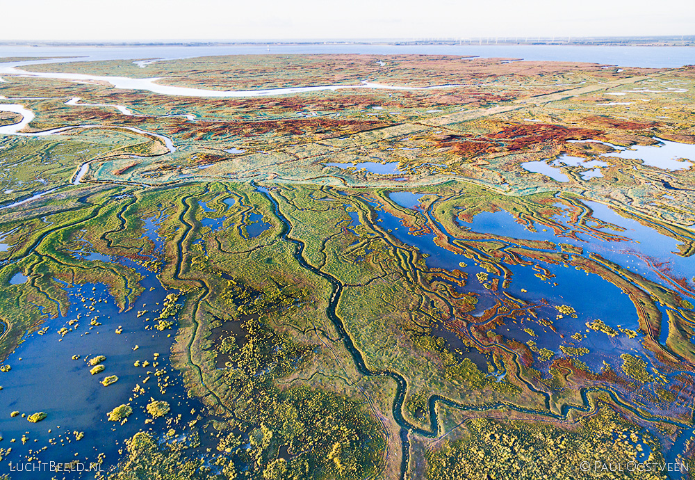 Verdronken land van Saeftinghe in Zeeland. Luchtfoto gemaakt met een camera drone door Paul Oostveen.