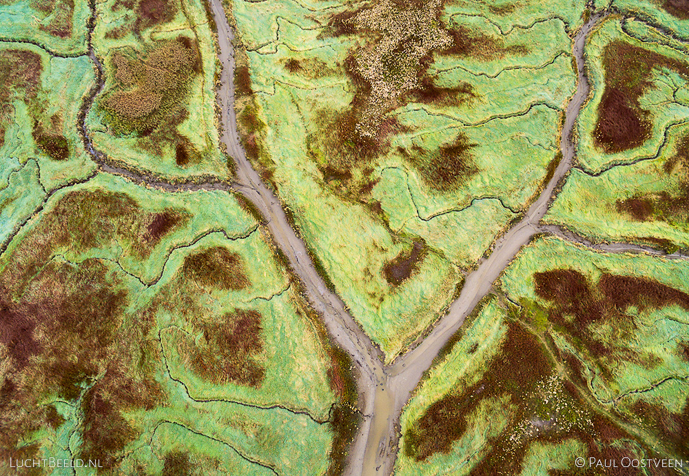 Geulen en schorren in het Verdronken land van Saeftinghe in Zeeland. Luchtfoto gemaakt met een camera drone door Paul Oostveen.
