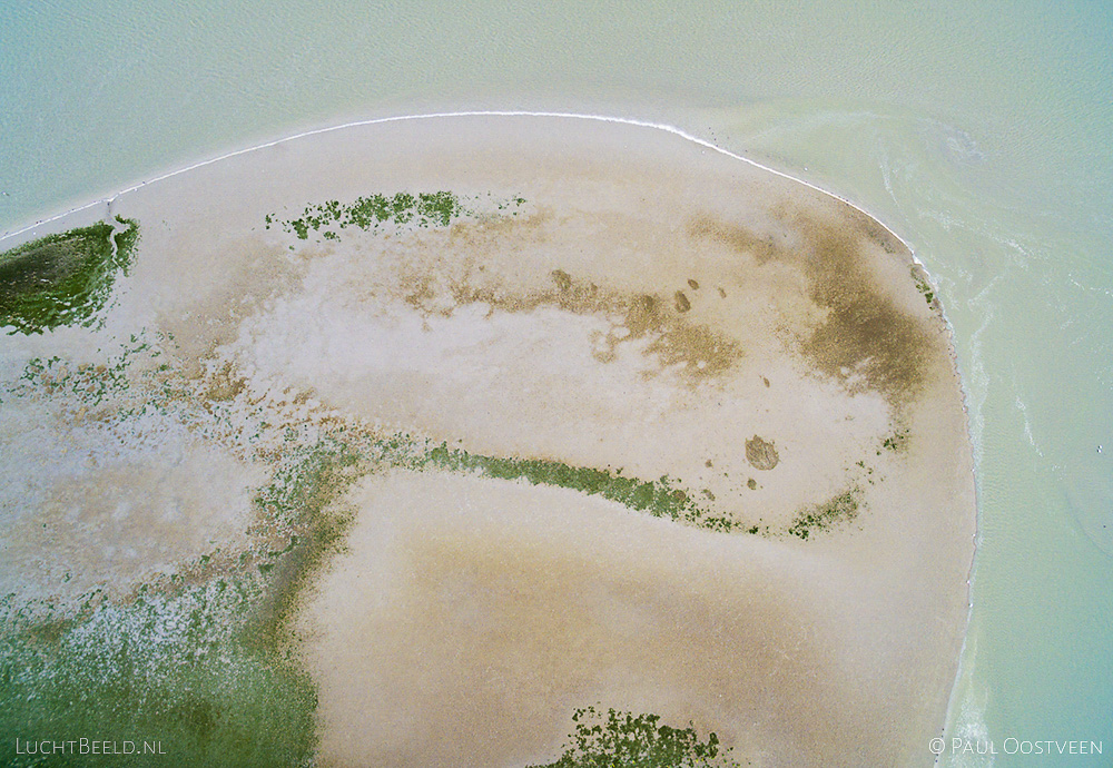 Schor in het Verdronken land van Saeftinghe in Zeeland. Luchtfoto gemaakt met een camera drone door Paul Oostveen.
