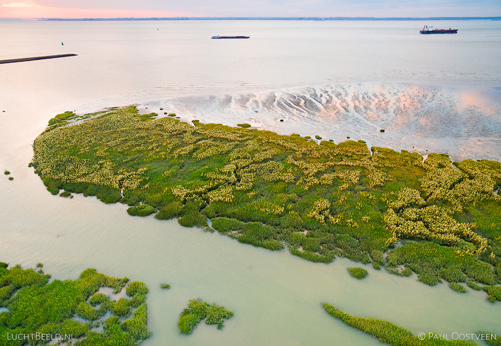 Zonsondergang in de Westerschelde in Zeeland. Luchtfoto gemaakt met een camera drone door Paul Oostveen.