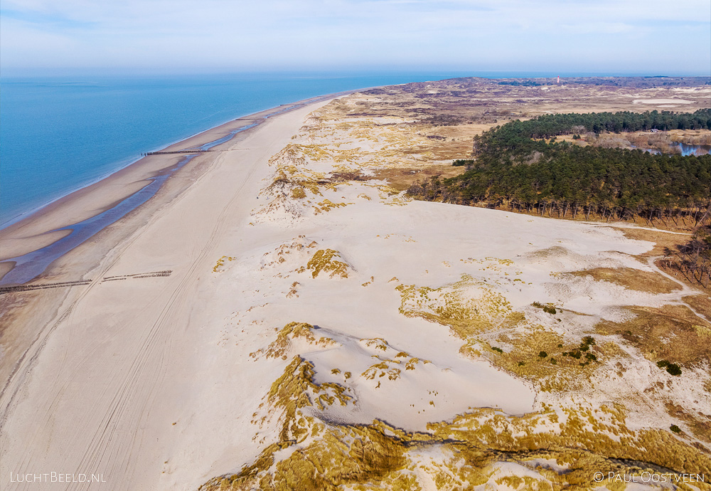 Luchtfoto van duinen met kerf, bos en Noordzee in Westerschouwen in Zeeland