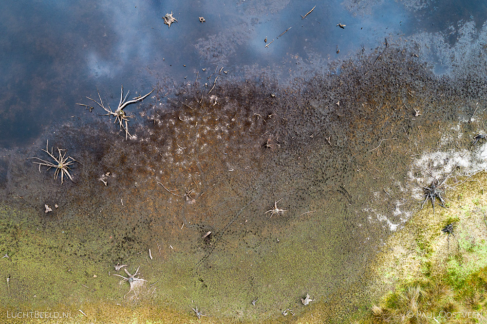 Boomstronken worden zichtbaar in de deels drooggevallen Overasseltse en Haterste Vennen tijdens de droge zomer van 2019. Luchtfoto gemaakt met een camera drone.