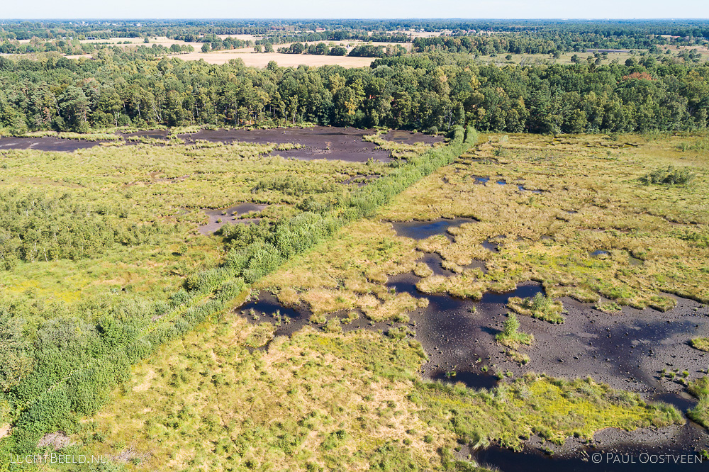 Drooggevallen vennen in het Haaksbergerveen tijdens de droge zomer van 2018. Luchtfoto gemaakt met een camera drone.