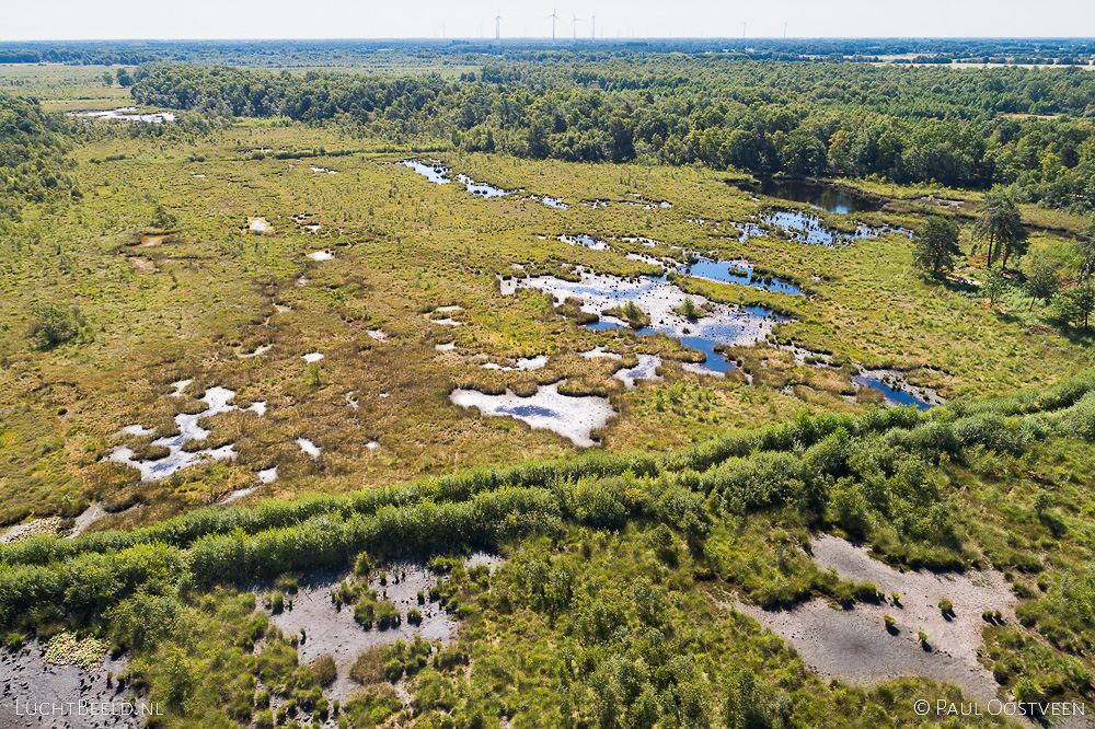 Haaksbergerveen tijdens de droge zomer van 2018. Luchtfoto gemaakt met een camera drone.