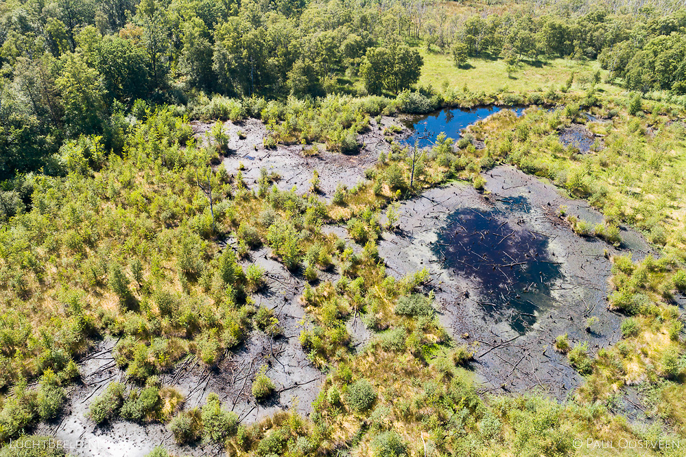 Haaksbergerveen tijdens de droge zomer van 2018. Luchtfoto gemaakt met een camera drone.