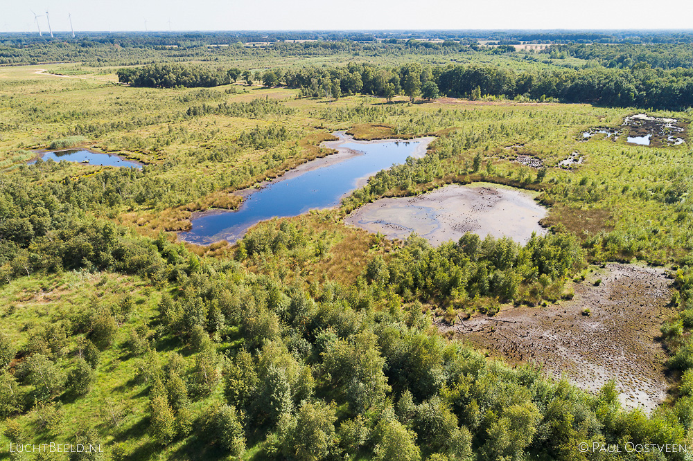 Haaksbergerveen tijdens de droge zomer van 2018. Luchtfoto gemaakt met een camera drone.