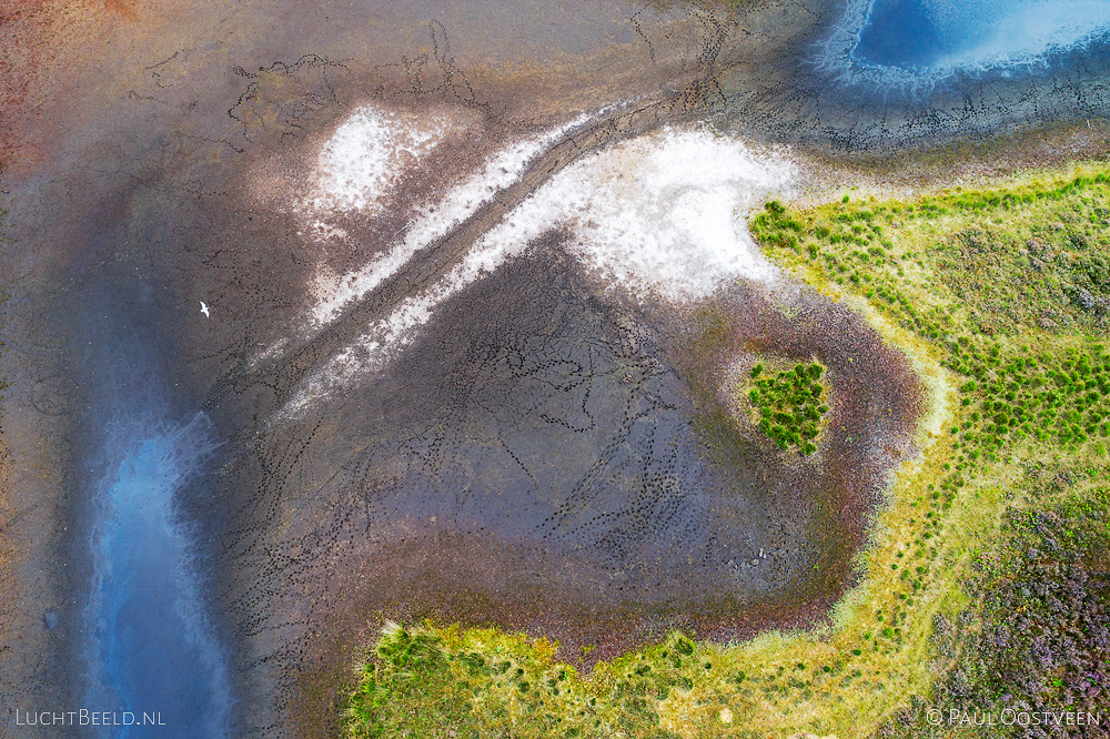 Sporen van dieren in een deels drooggevallen ven in de Overasseltse en Haterste Vennen tijdens de droge zomer van 2019. Luchtfoto gemaakt met een camera drone.