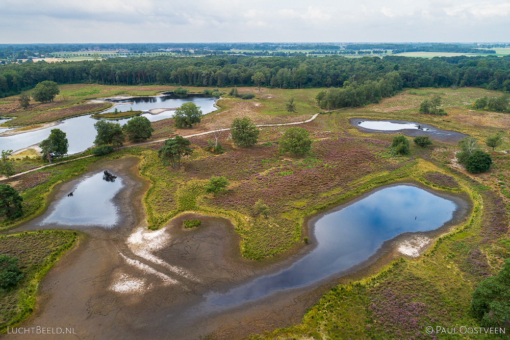 Overasseltse en Haterste Vennen tijdens de droge zomer van 2019. Luchtfoto gemaakt met een camera drone.