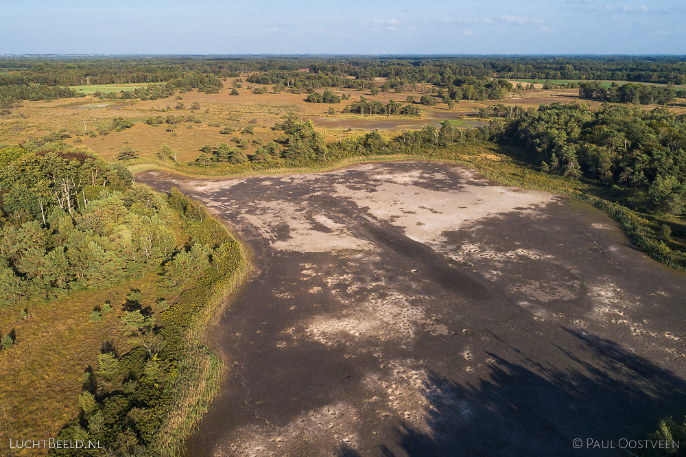Steenhaarplassen op het Buurserzand tijdens de droge zomer van 2018. Luchtfoto gemaakt met een camera drone.
