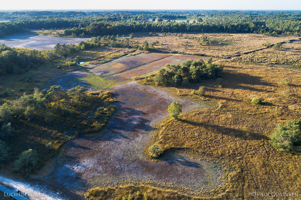 Steenhaarplassen op het Buurserzand tijdens de droge zomer van 2018. Luchtfoto gemaakt met een camera drone.