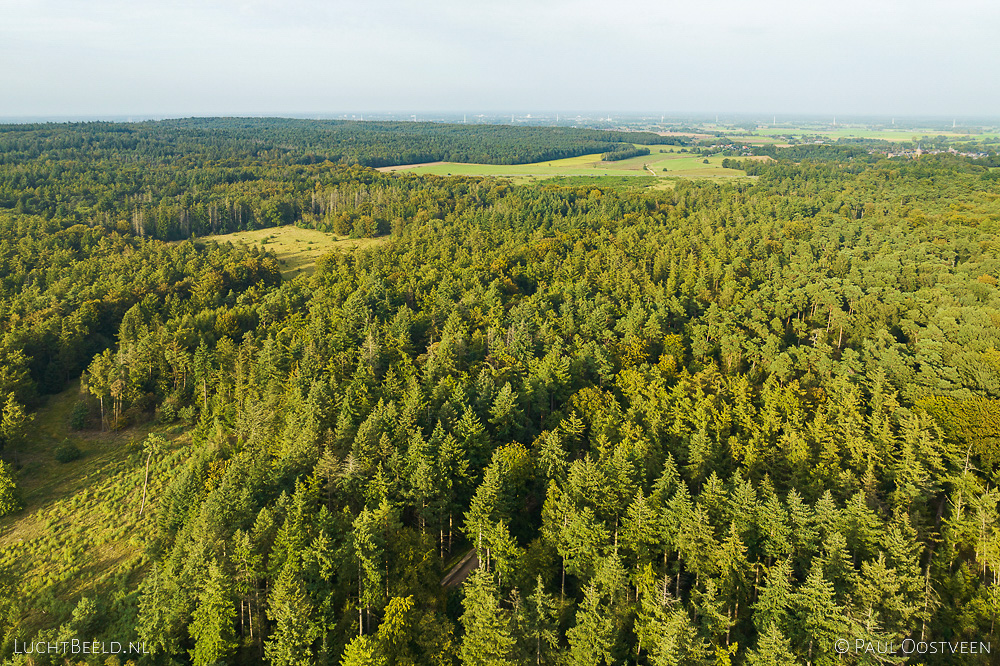 Bergherbos in het heuvelachtige Montferland (luchtfoto door Paul Oostveen)