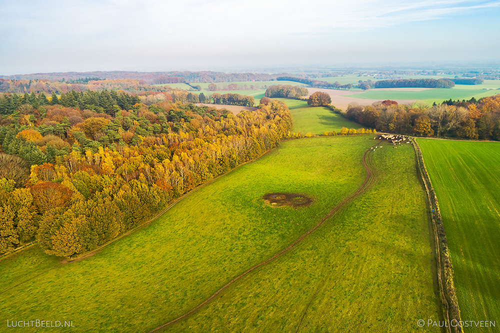 Luchtfoto van heuvels en bossen in de herfst in het Rijk van Nijmegen bij Groesbeek
