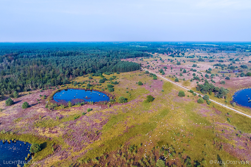 Hooge-Heide-Leenderbos-M3_070672.jpg