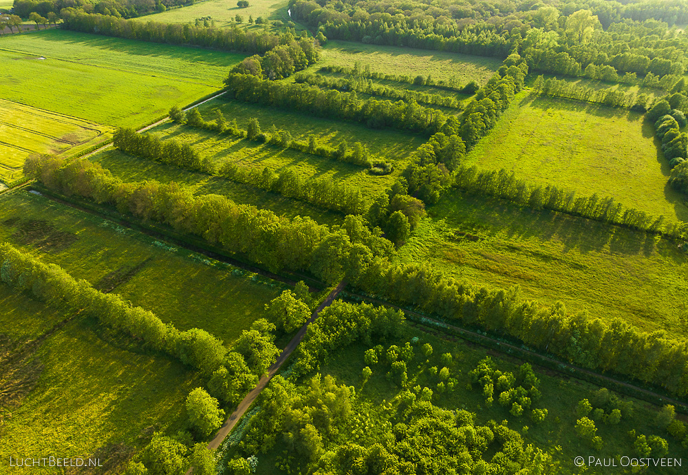 Mantingerbos en Mantingerweide in Drenthe (luchtfoto door Paul Oostveen)