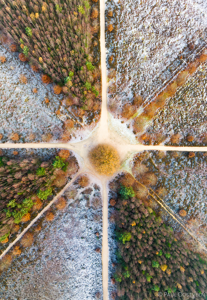 Sterrenbos in de Amerongse Bos in de herfst met rijp (luchtfoto door Paul Oostveen)