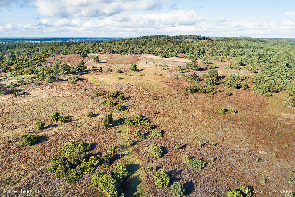 Hei op de Lemelerberg. Luchtfoto gemaakt met een camera drone.