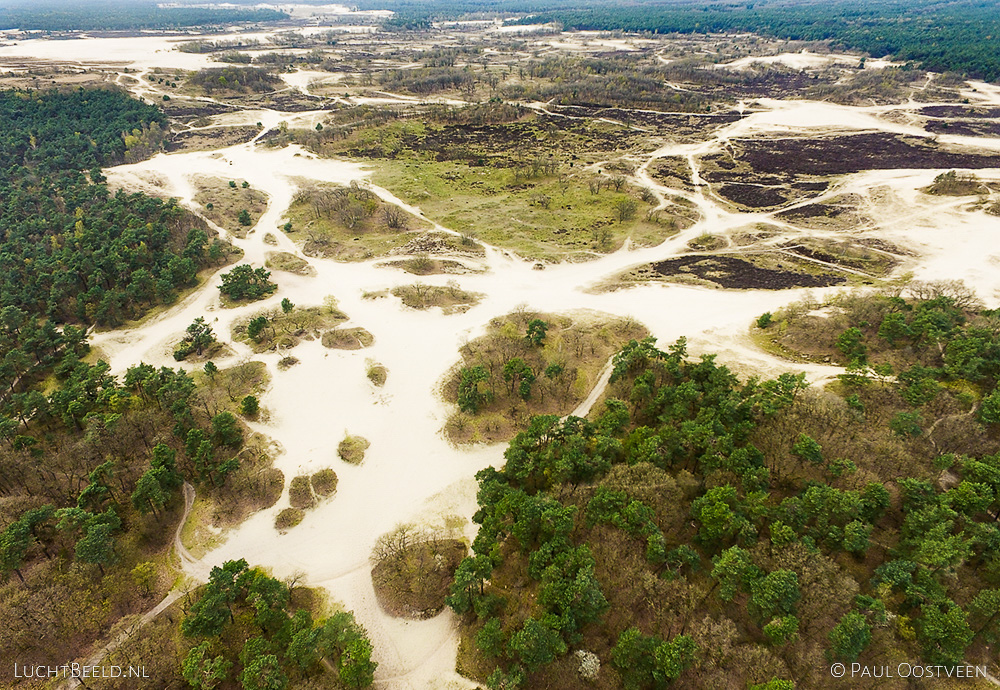 Duinen met stuifzand in de Loonse en Drunense Duinen. Luchtfoto gemaakt met een camera drone (Phantom).