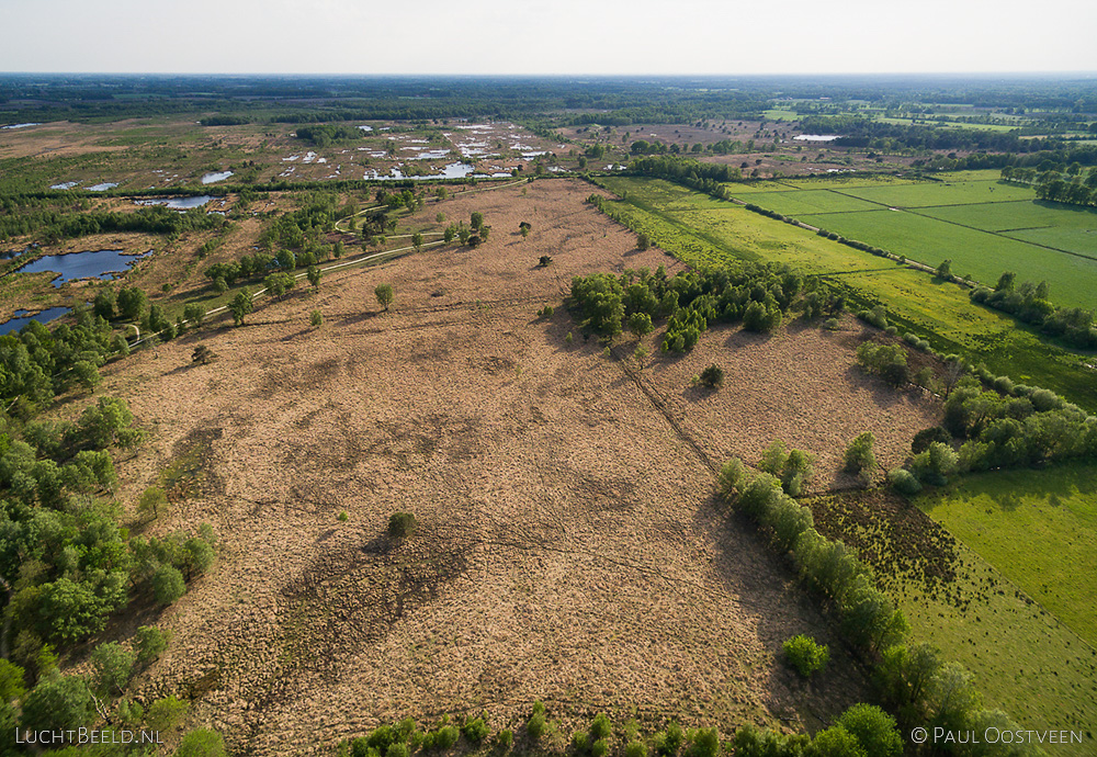 Veengebied Haaksbergerveen. Luchtfoto gemaakt met een camera drone (Phantom).