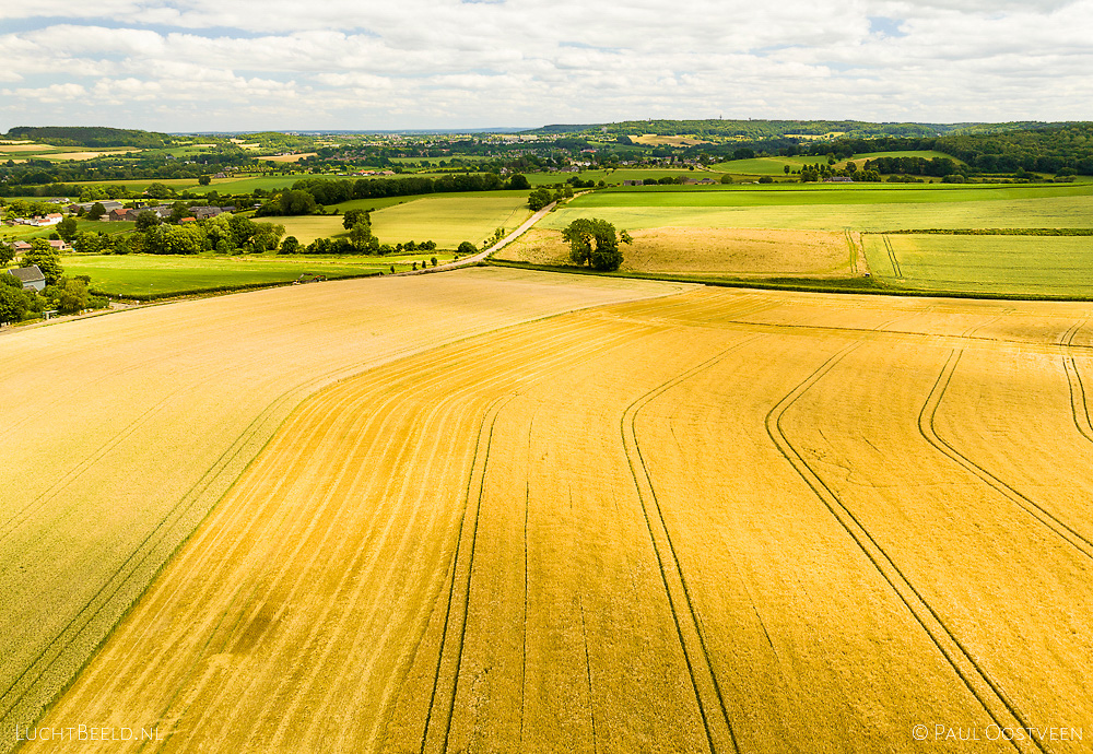 Akkers met graan in Zuid-Limburg bij Vijlen (luchtfoto door Paul Oostveen)