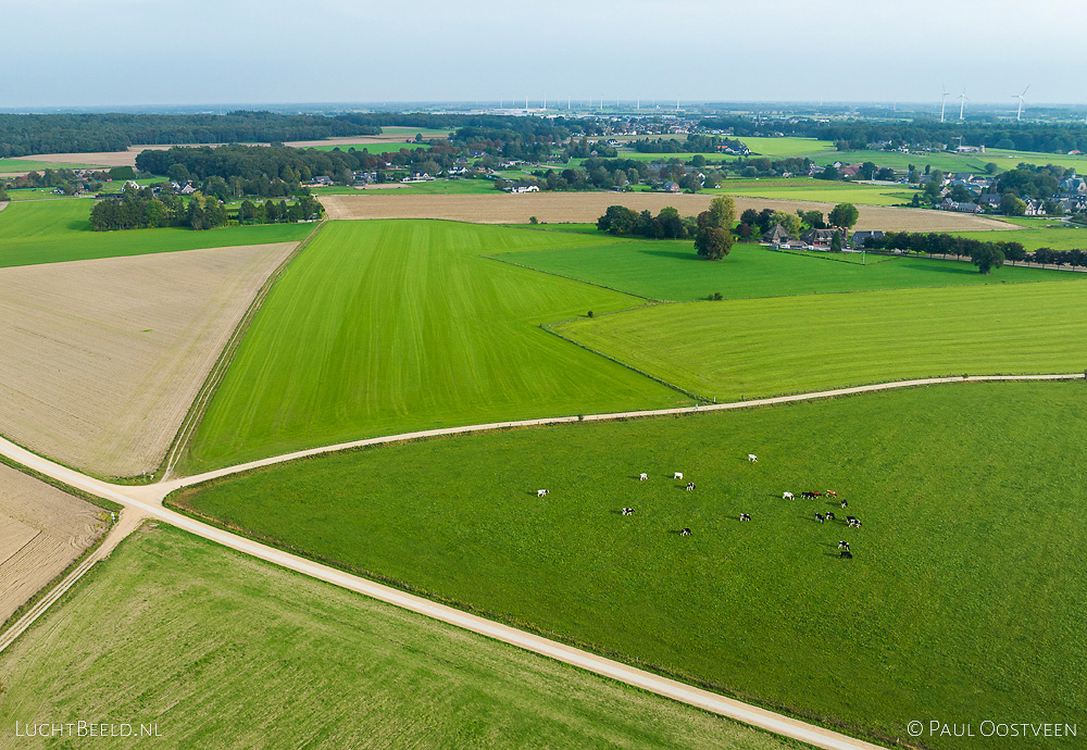 Weilanden met koeien en akkers in Montferland, Gelderland (foto Paul Oostveen)