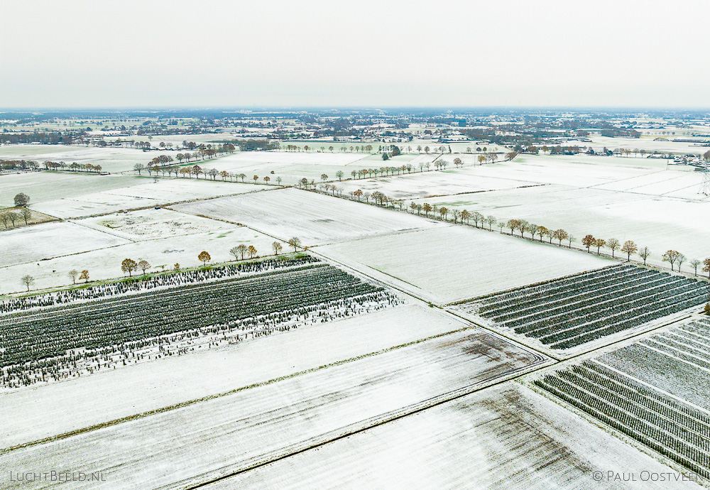 Platteland in de Peel in Asten in de winter met sneeuw (luchtfoto: Paul Oostveen)