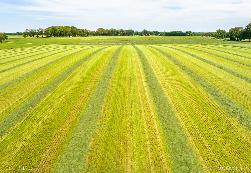 Gemaaid gras in glooiend landschap Twente, Overijssel (luchtfoto: Paul Oostveen)