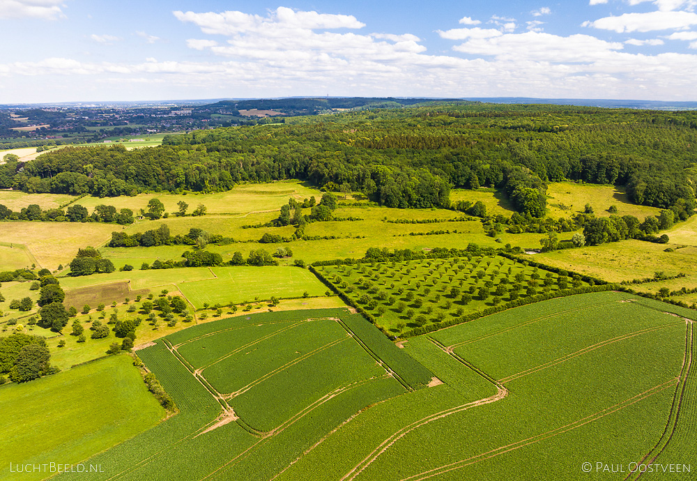 Akkers, boomgaarden en Vijlenerbos in Zuid-Limburg (luchtfoto: Paul Oostveen)