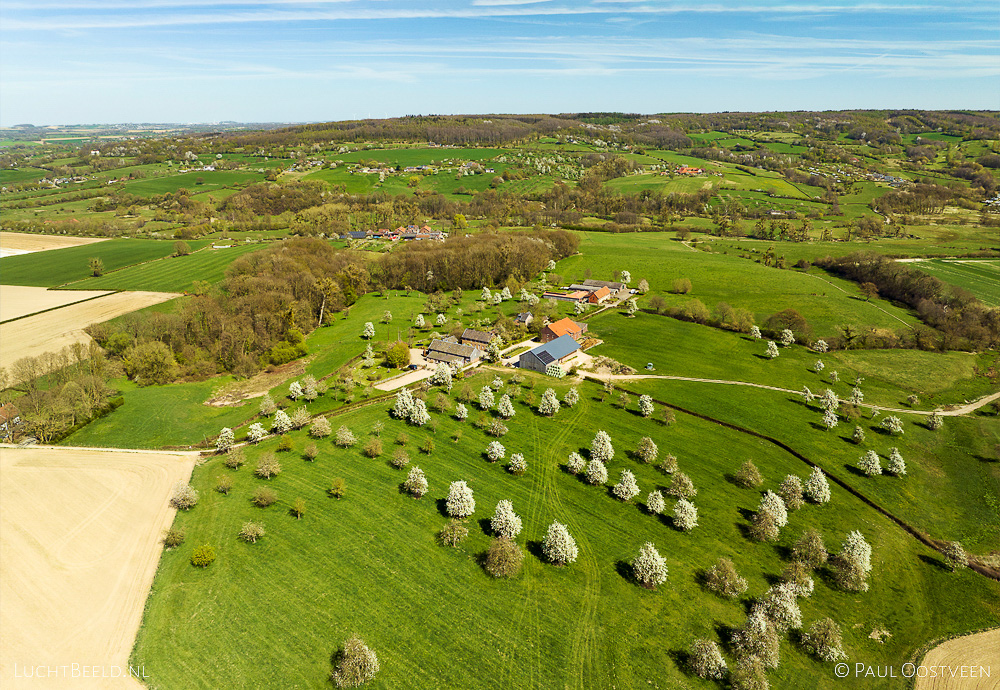 Boomgaard in blosemtijd in Kuttingen met Geuldal in Zuid-Limburg