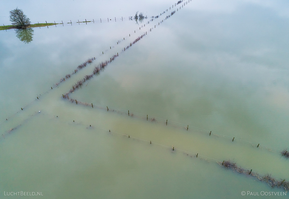 Ondergelopen uiterwaarden met paden tijdens hoogwater in de Nederrijn