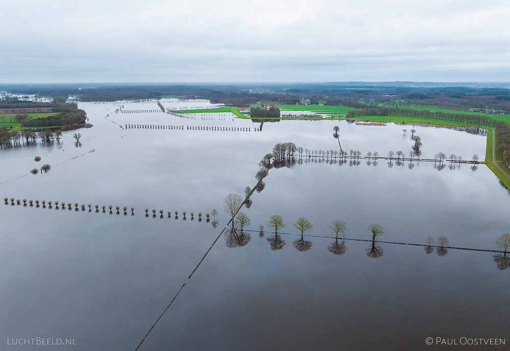 Ondergelopen uiterwaarden van de Vecht met rijen bomen tijdens hoogwater