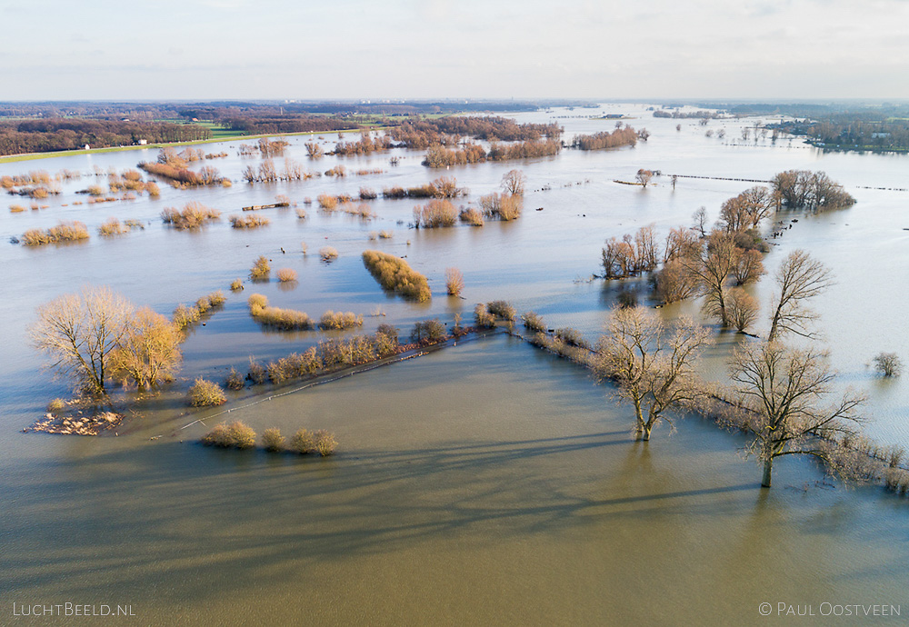 Luchtfoto van bomen in ondergelopen uiterwaarden langs de IJssel tijdens hoogwater. Luchtfoto gemaakt met een drone.