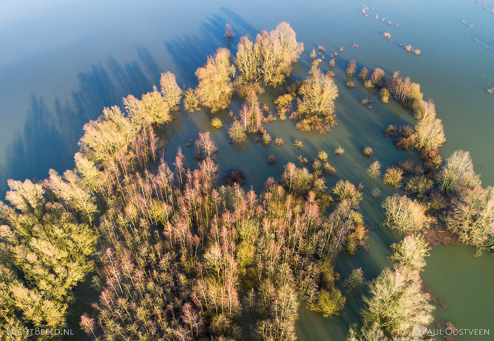 Luchtfoto van hoog water in de ondergelopen Millingerwaard langs de Waal. Luchtfoto gemaakt met een camera drone.