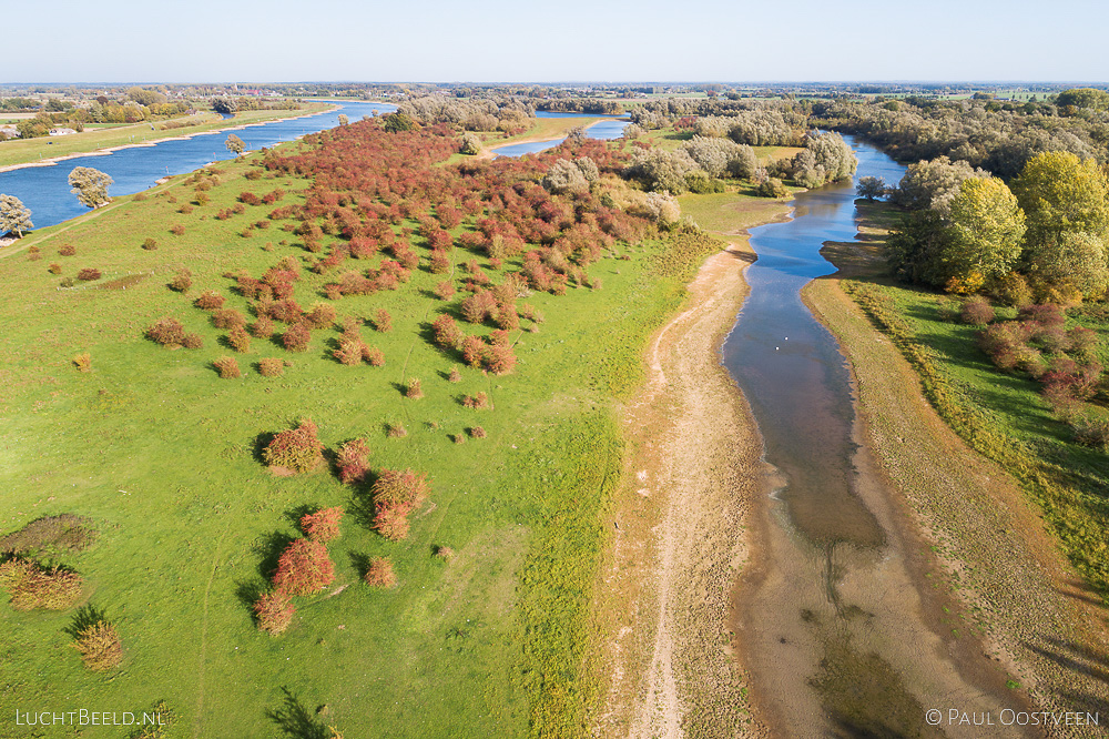 Luchtfoto van meidoorns met bessen in de Duursche Waarden langs de rivier de IJssel, gefotografeerd met een drone.