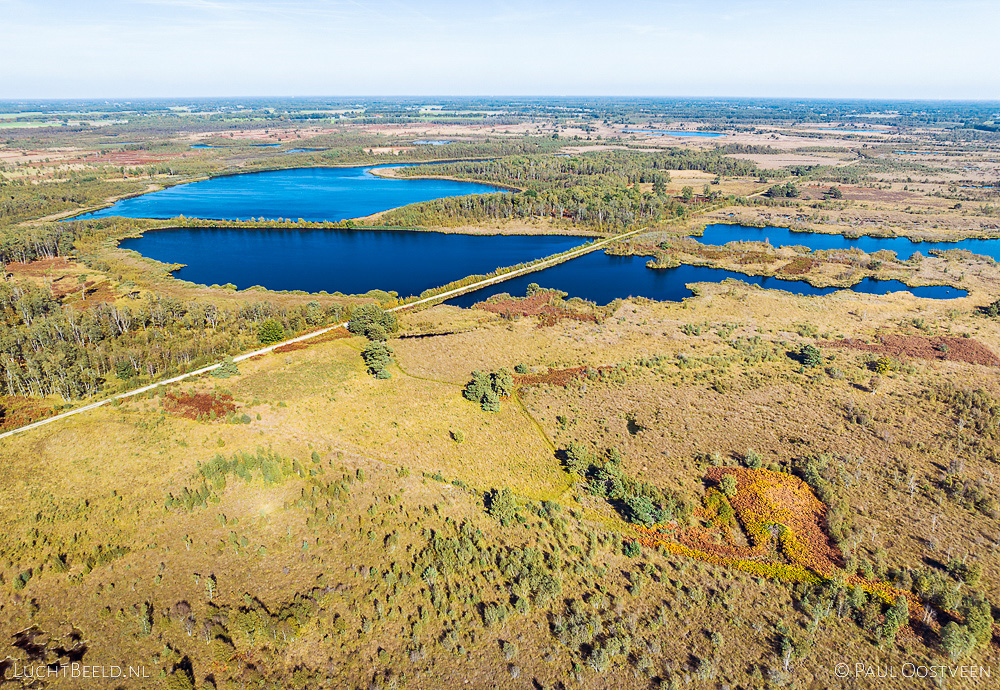 Nationaal Park de Groote Peel met plassen Aan 't Elfde, bomen en varens