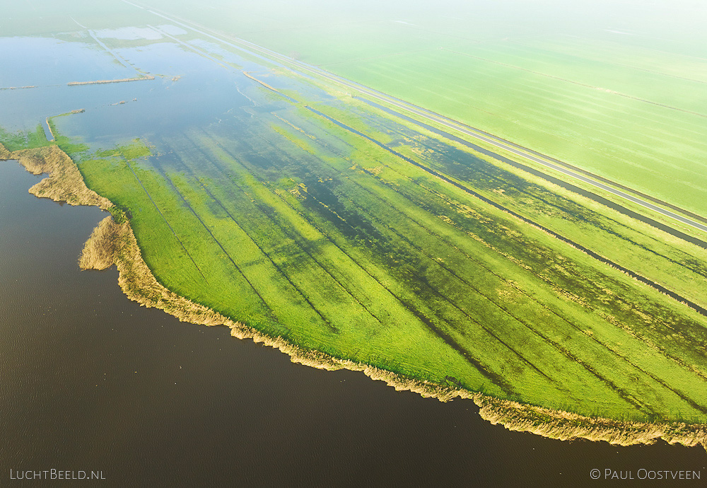 Meer en wetlands in de mist in natuurgebied Sondeler Leien