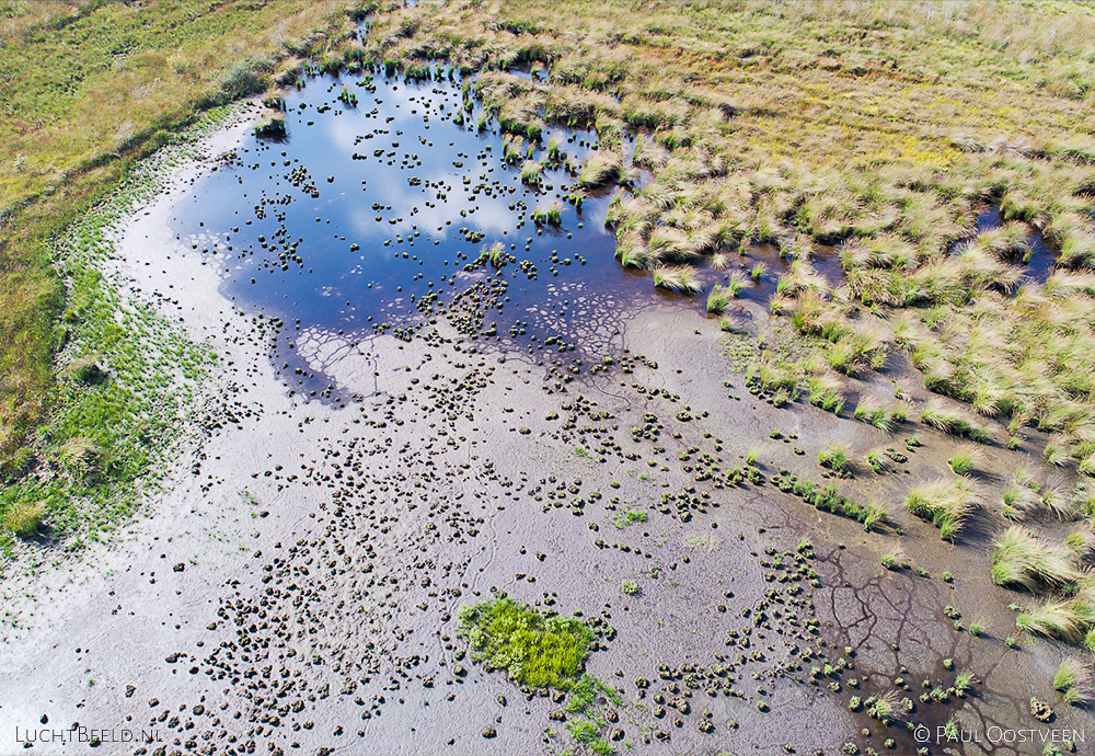 Luchtbeeld van veengebied Haaksbergerveen, gefotografeerd met een drone.