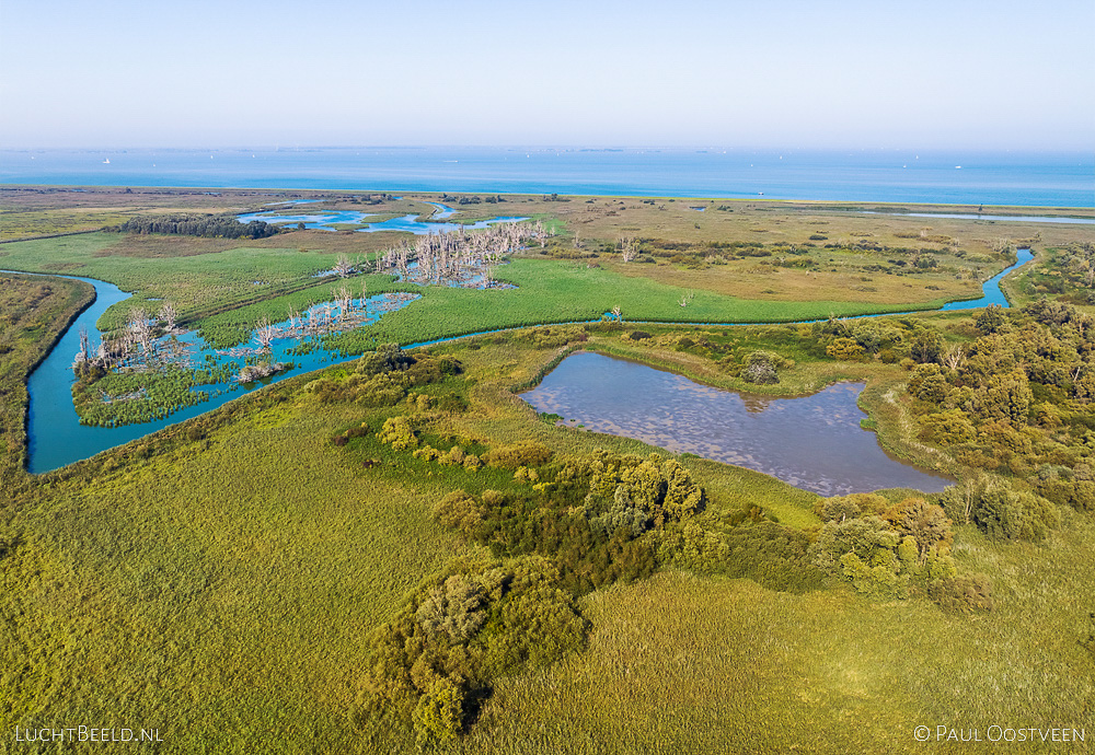 Luchtfoto van de Lepelaarplassen met het Markermer in Flevoland