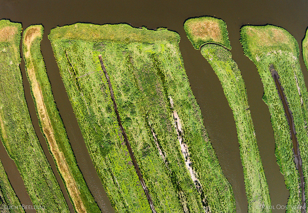 Luchtfoto van Wormer- en Jisperveld, een veenweidegebied in Noord-Holland.