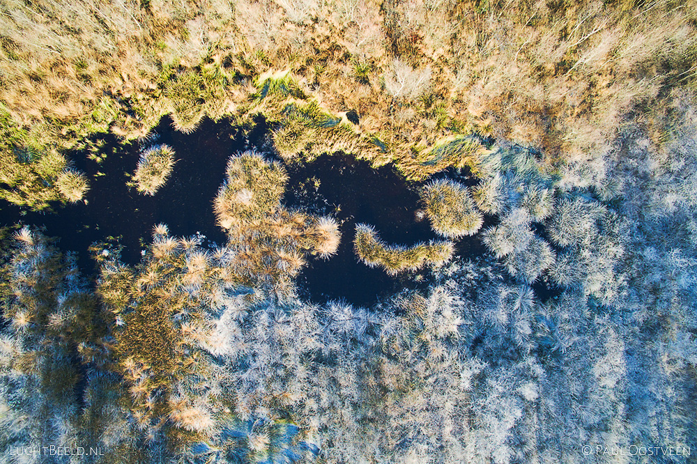 Dooi (in de zon) en vorst (in de schaduw), van boven gefotografeerd met een cameradrone.