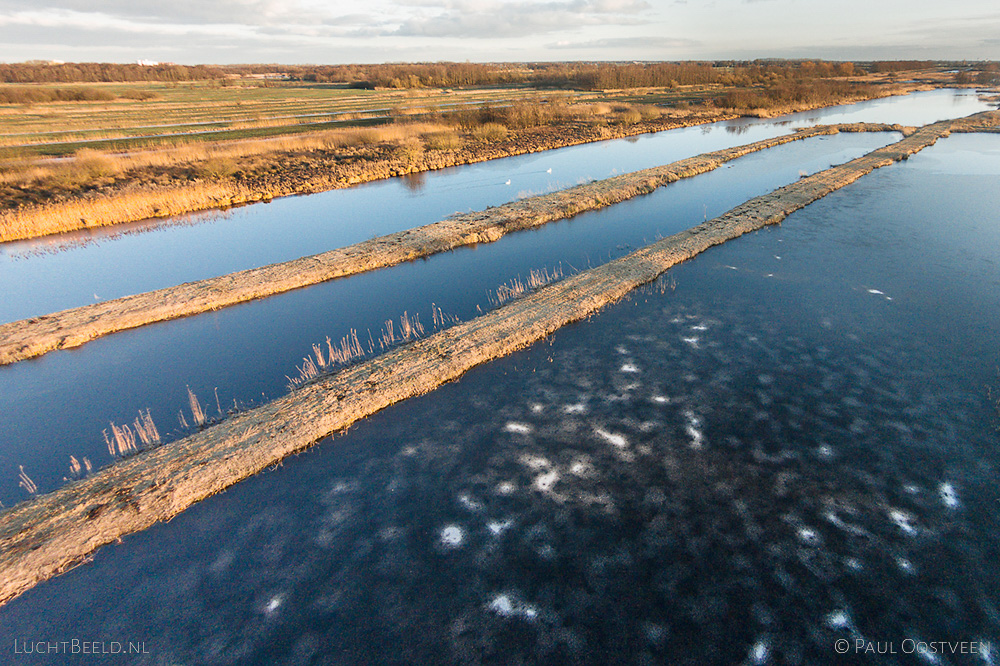 Vorst in De Wieden, gefotografeerd met een camera drone