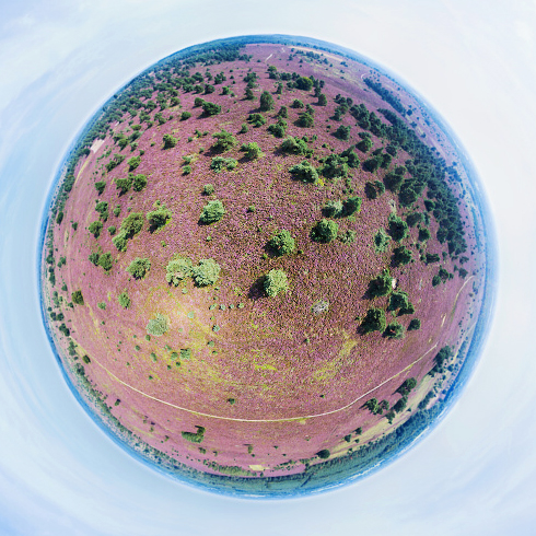 Bloeiende hei op de Sallandse Heuvelrug: 360 graden panorama gemaakt met een camera drone door Paul Oostveen.