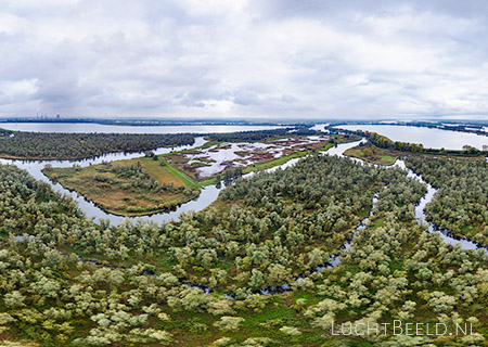 Stock foto's de Biesbosch